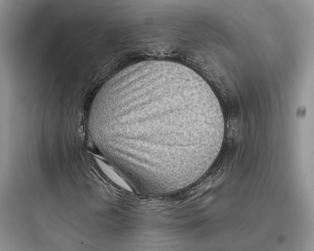 X0000097601202200803211651