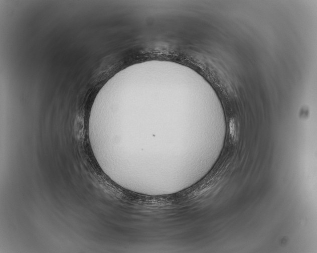 X0000097601203200803211652