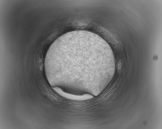 X0000097601204200803211652