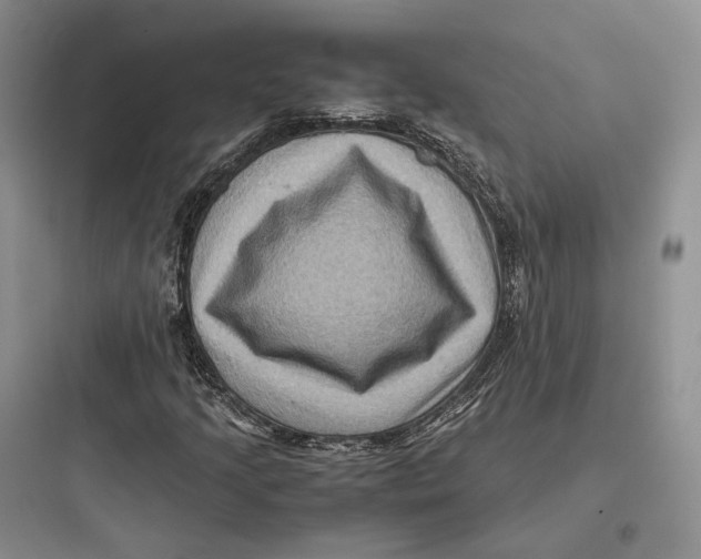 X0000097601205200803211652