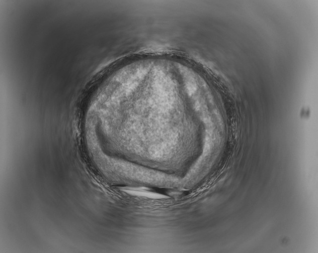 X0000097601206200803211652