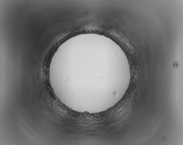 X0000097601207200803211652