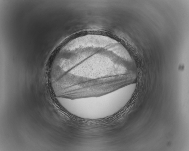 X0000097601208200803211652
