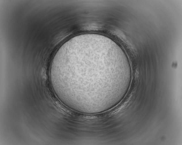 X0000097601209200803211652