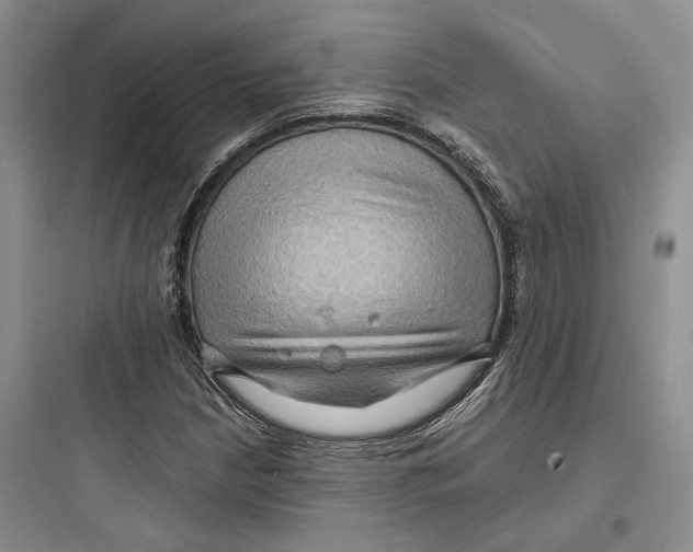 X0000097601210200803211652