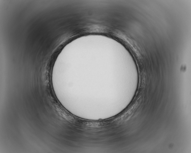 X0000097601211200803211652