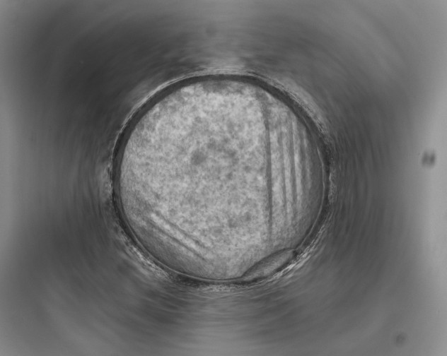 X0000097601212200803211652