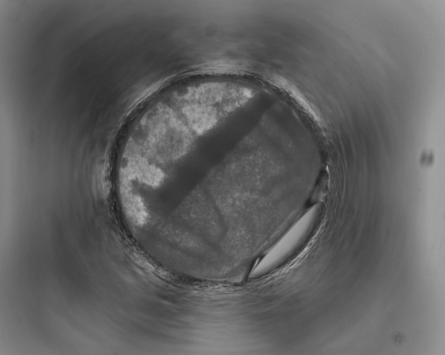 X0000097601213200803211652