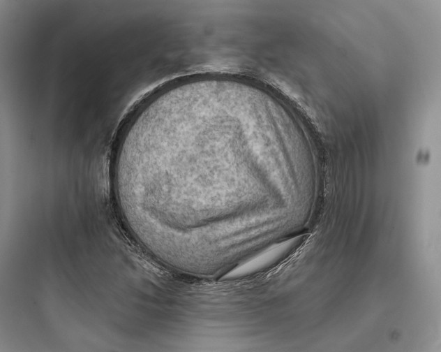 X0000097601214200803211652