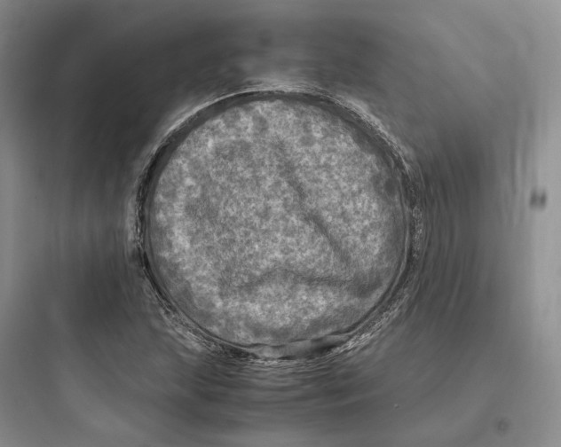 X0000097601215200803211652