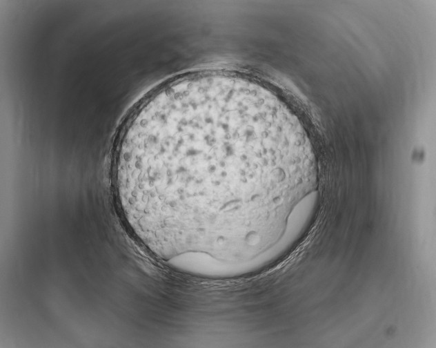 X0000097601216200803211652