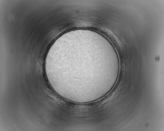 X0000097601217200803211652