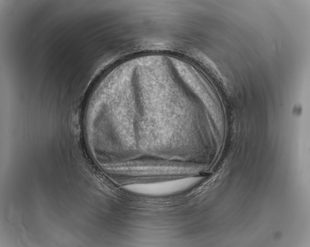 X0000097601218200803211652