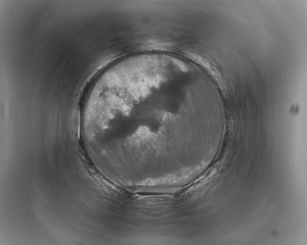 X0000097601219200803211652