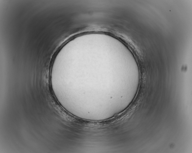 X0000097601220200803211652