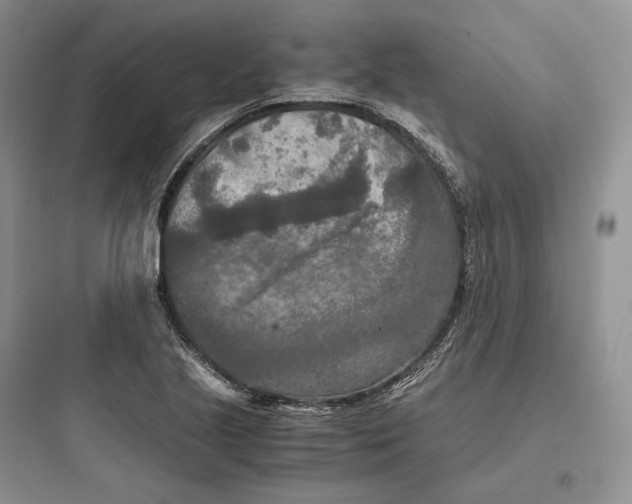 X0000097601221200803211652