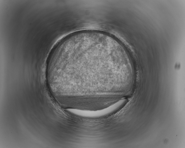 X0000097601222200803211652