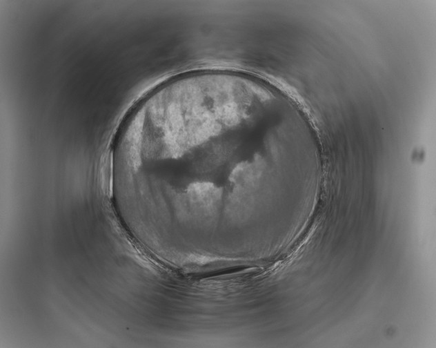 X0000097601223200803211652