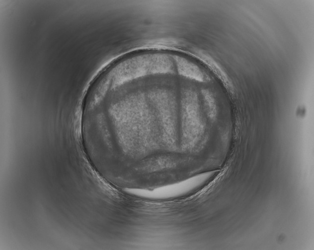 X0000097601224200803211652