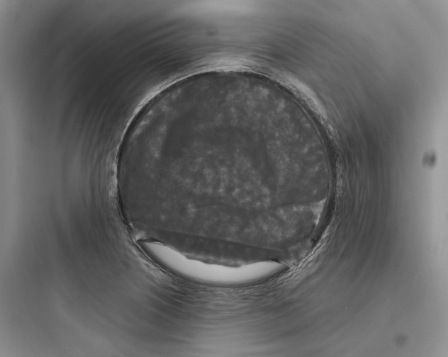 X0000097601226200803211652