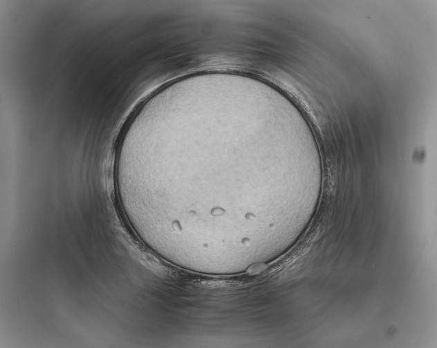 X0000097601227200803211652