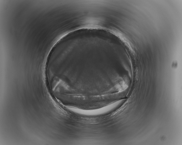 X0000097601229200803211652