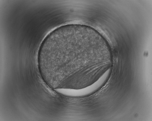 X0000097601230200803211652