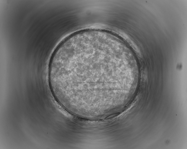 X0000097601232200803211652