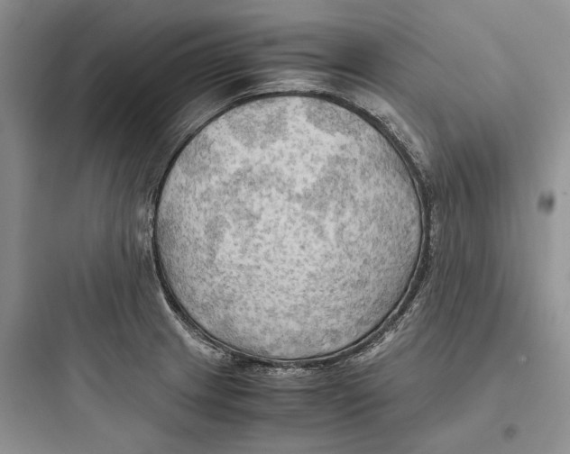 X0000097601233200803211652