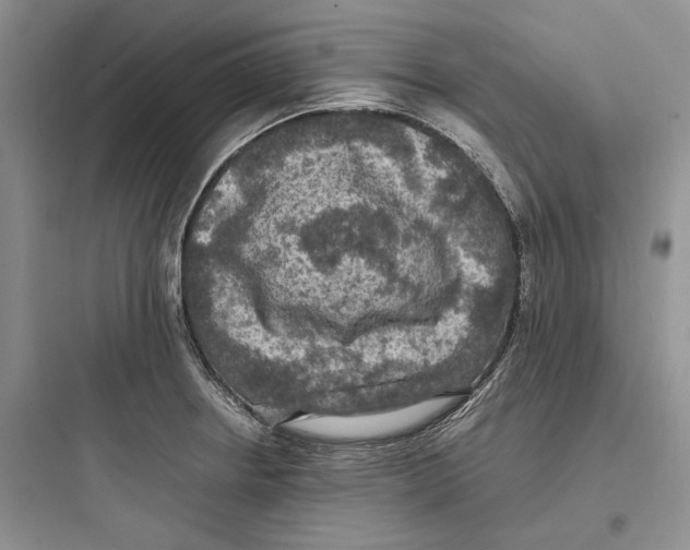 X0000097601234200803211652