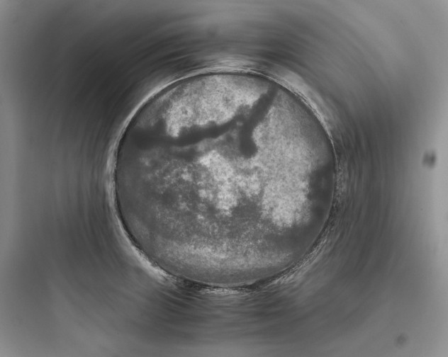 X0000097601235200803211652