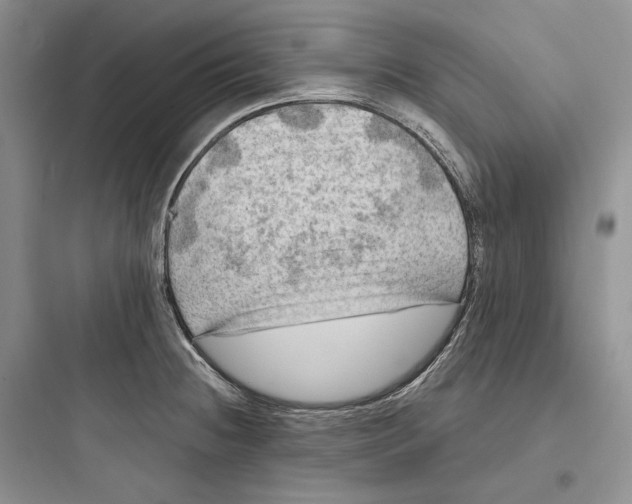 X0000097601236200803211652