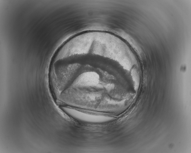X0000097601237200803211652