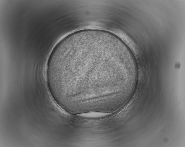X0000097601238200803211652