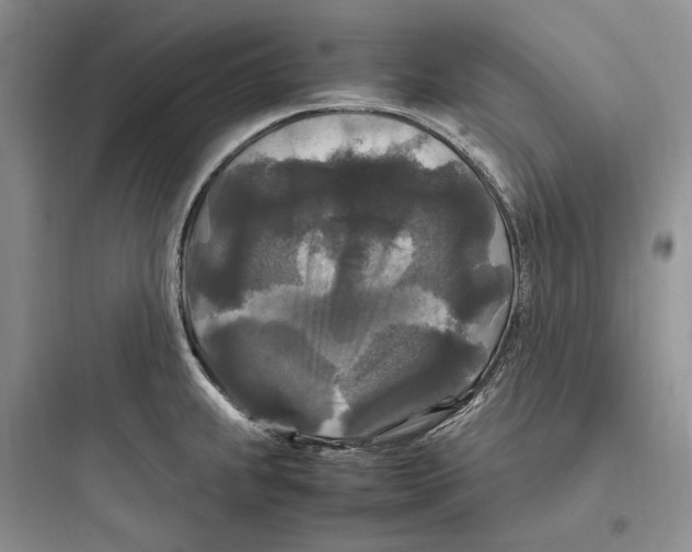 X0000097601239200803211652