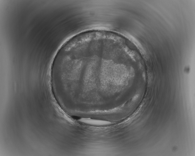 X0000097601240200803211652