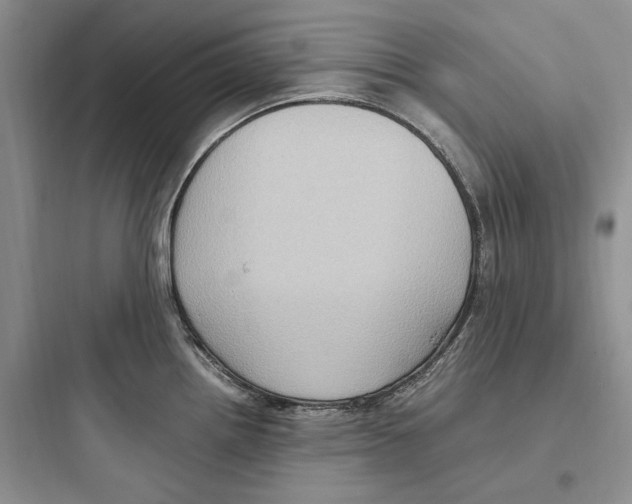 X0000097601242200803211652