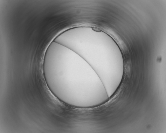 X0000097601244200803211652