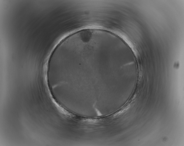 X0000097601245200803211652
