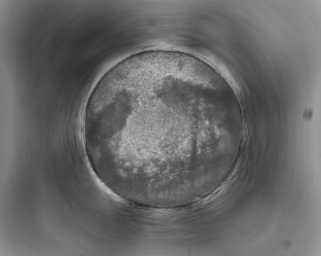X0000097601247200803211652