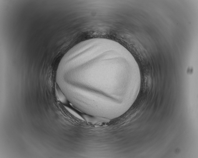 X0000097601250200803211651