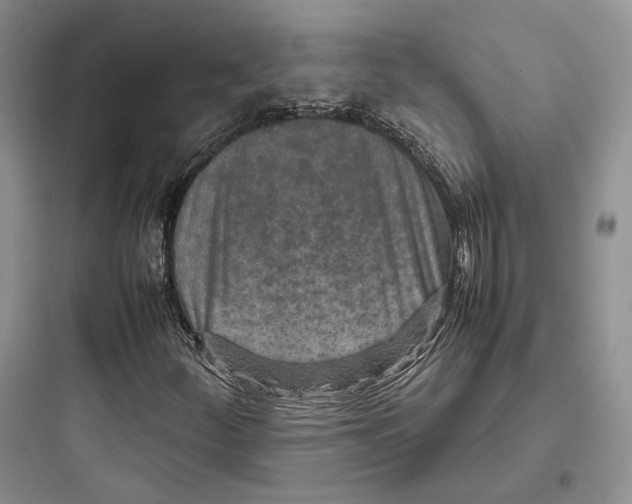 X0000097601252200803211651
