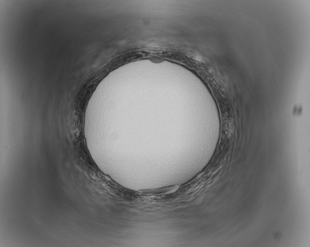 X0000097601253200803211651