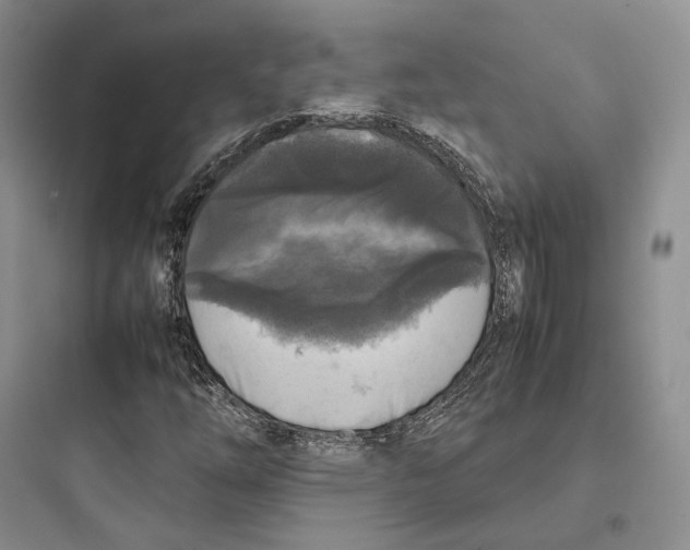 X0000097601254200803211651