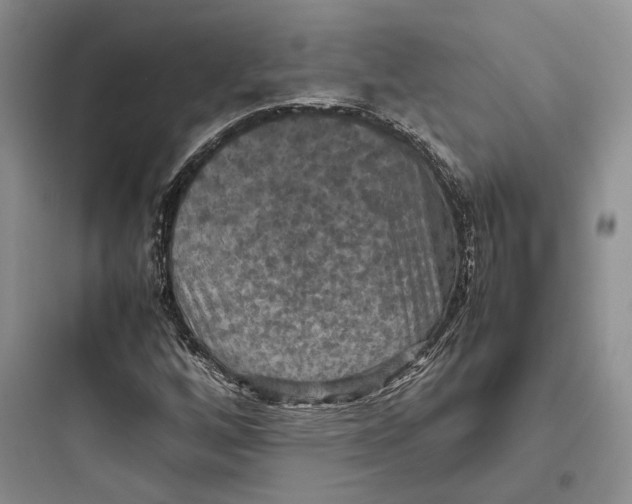 X0000097601256200803211651