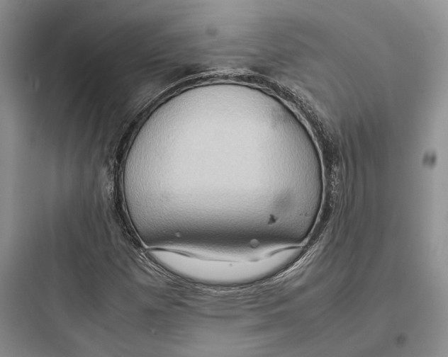 X0000097601257200803211651
