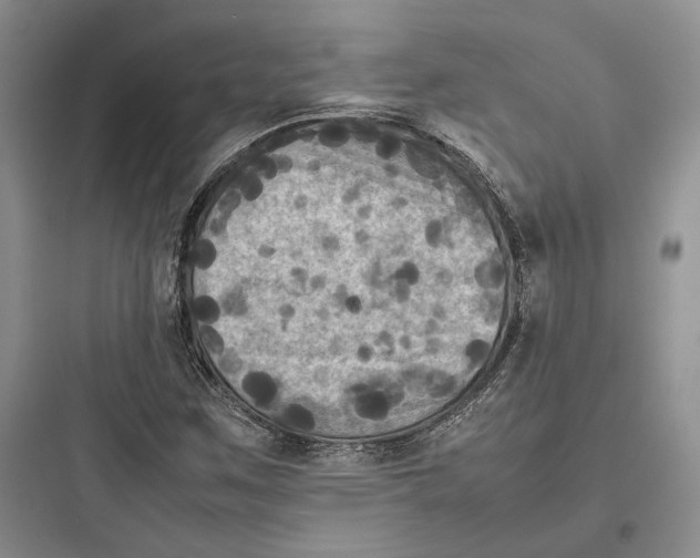 X0000097601259200803211651