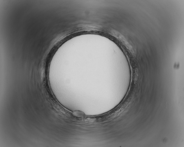 X0000097601261200803211651