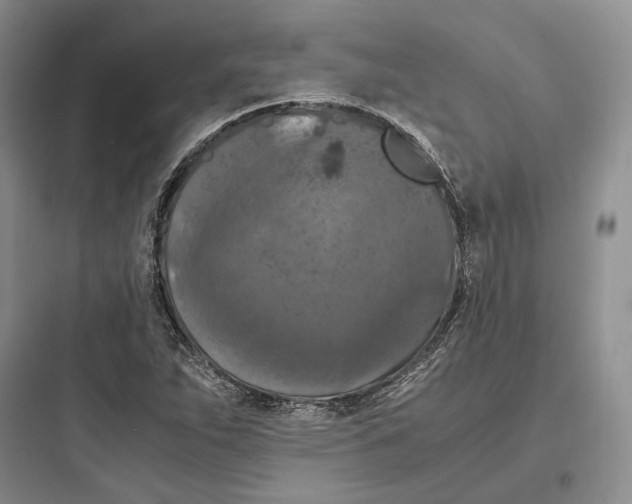 X0000097601263200803211651
