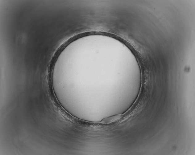 X0000097601264200803211651